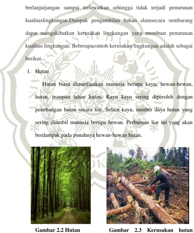 Gambar 2.2 Hutan   Gambar  2.3  Kerusakan  hutan  akibat ulah manusia 