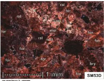 Gambar  13.  Grainstone  dengan  beberapa  bioklas  foraminifera  bentonik bentonik (for), moluska (mol), ganggang  merah (ral), sedikit bryozoa (bry), diikat oleh semen  karbonat orthosparit kalsit isopachus hingga drussy 