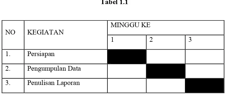 Tabel 1.1MINGGU KE