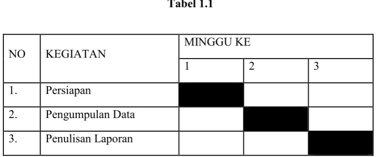 Tabel 1.1MINGGU KE