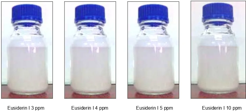 Gambar  1.  (a) Kristal Eusiderin I, (b) Hasil KLT Eusiderin I, dan (c) Struktur Molekul Eusiderin I (Harizon dan Muhaimin, 2006) 