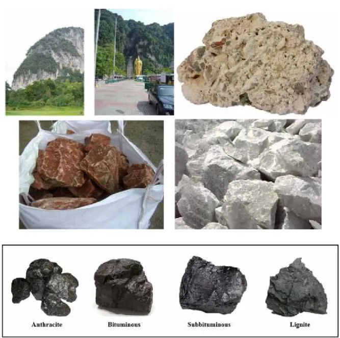 Gambar 6.6. Urutan dari atas kekanan: Batuan limestone (dua kiri atas), dolostone, batuan garam, gypsum, dan batubara (empat paling bawah)