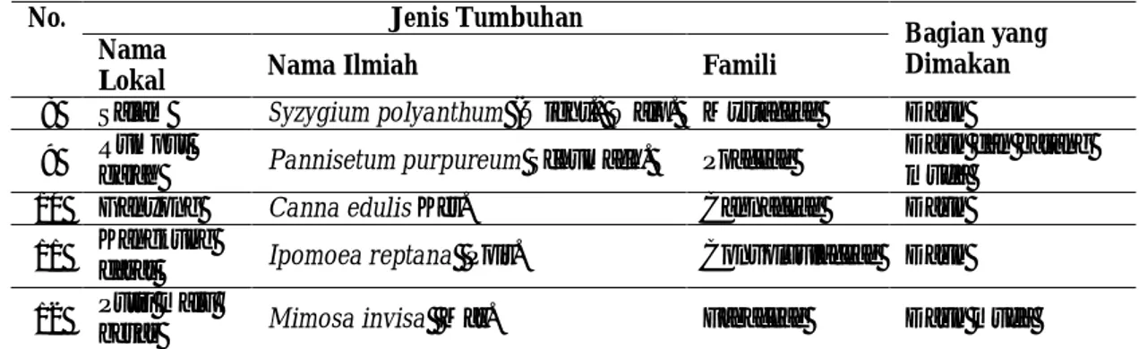 Tabel 5 Palatabilitas orangutan terhadap jenis pakan yang disediakan PPS  Urutan dikonsumsi 