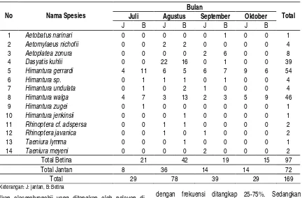Tabel 2. Komposisi Spesies Pari yang Tertangkap Nelayan Sungai Kakap bulan Juli – Oktober 2006.