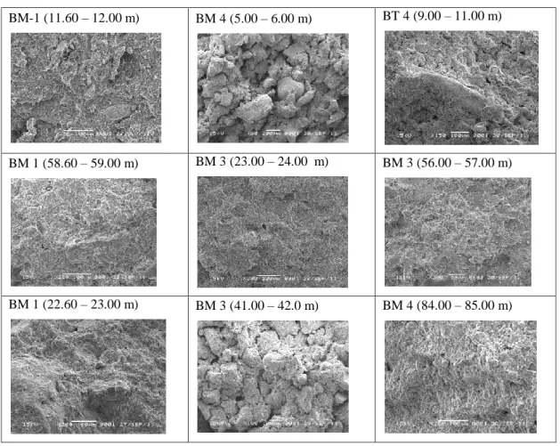 Gambar 4. Fotomikrograf SEM dari beberapa sampel batuan berupa lempung permukaan   (baris atas), batulempung (baris tengah), dan variasi batuan lain berupa batulanau  