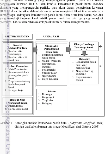 Gambar 1  Kerangka analisis konservasi pasak bumi (Eurycoma longifolia Jack) 