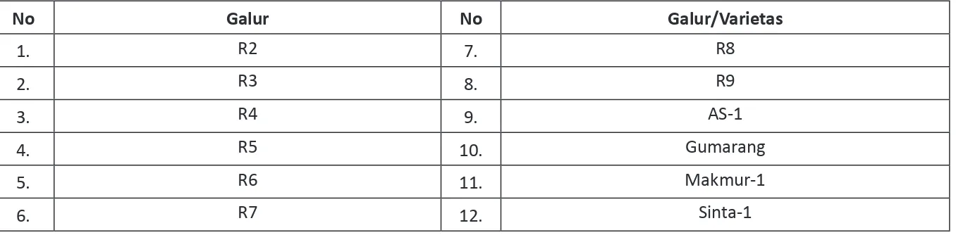 Tabel 1. Galur dan Varietas Jagung Komposit yang Digunakan Sebagai Perlakuan dalam Penelitian