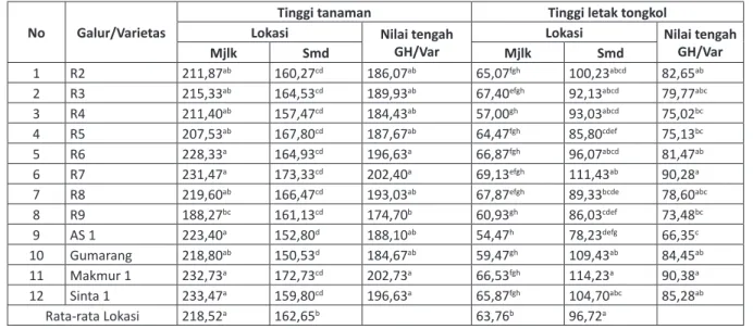 Tabel 3. Nilai Tengah Tinggi Tanaman dan Letak Tongkol Pada Galur Harapan dan Varietas Jagung Komposit di 