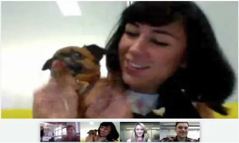 Figure 1. Google+ hangout in progress 