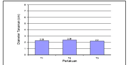 Gambar 4. Diameter Rata-Rata Batang Tanaman (Skala Lapangan)  