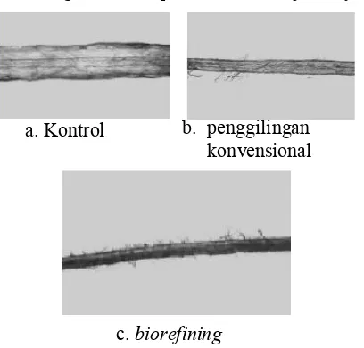 Gambar 1. Mekanisme biorefining 