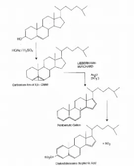 Gambar 5.3 mekanisme reaksi uji Liebermann-Burchard