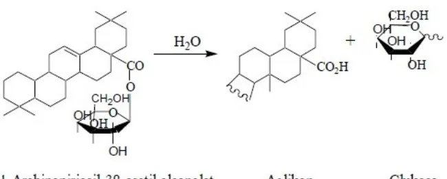 Gambar 5.4 mekanisme reaksi hidrolisis saponin