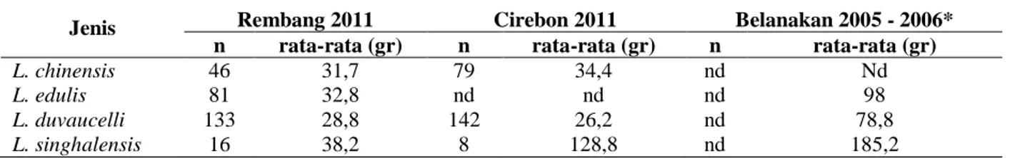 Table 2. The average of mantle length of some squid species caught in Java Sea.
