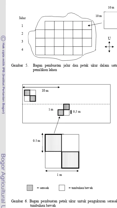 Gambar 5.  Bagan pembuatan jalur dan petak ukur dalam satu unit 