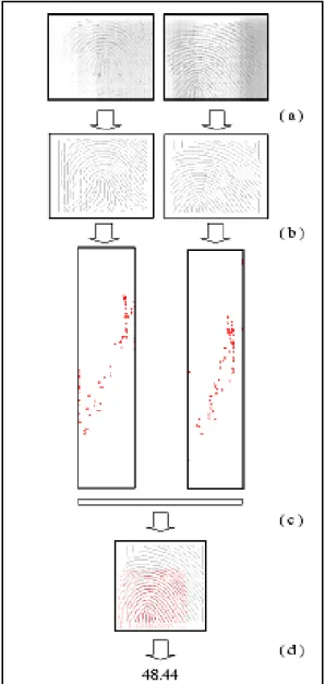 Gambar 1. Diagram langkah – langkah utama  dari  teknik matching  berbasis ridge 