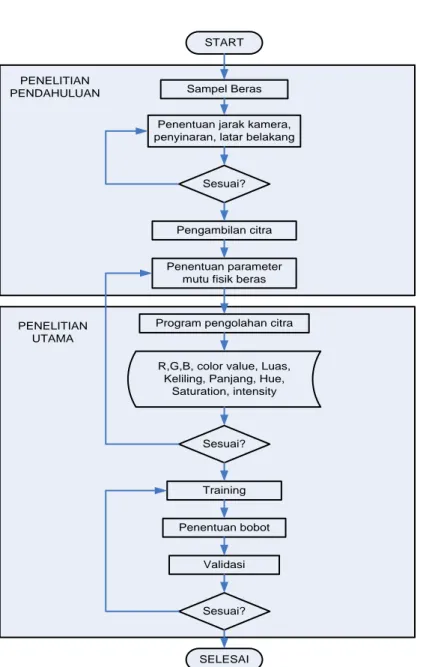 Gambar 4  Diagram alir prosedur penelitian pengolahan citra digital dan Jaringan Syaraf Tiruan (JST)