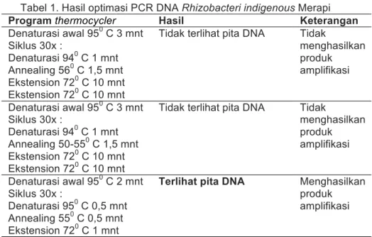 Tabel 1. Hasil optimasi PCR DNA Rhizobacteri indigenous Merapi 