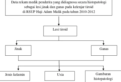 Jenis kelamin Usia Gambaran 