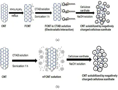 Figure 1. Schema Model Dissolving Process of Cellulose Xanthate and CNTs Dispersion in an Aqueous NaOH Solution (a) Functionalized CNT (b) Non Functionalized CNT