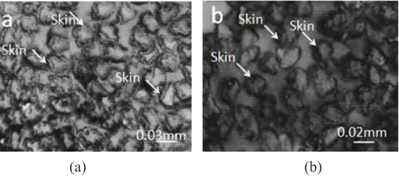 Figure 4. Cross-Sectional Photo Micrographs of FCNT-Rayon (a) and  nFCNT-Rayon(b)  Nanocomposite Filament