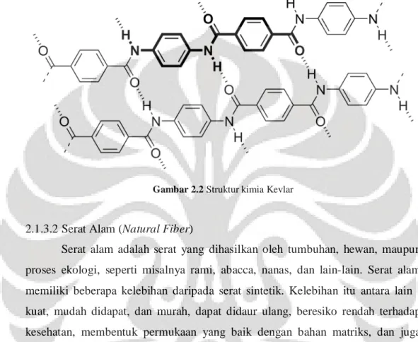 Gambar 2.2 Struktur kimia Kevlar 