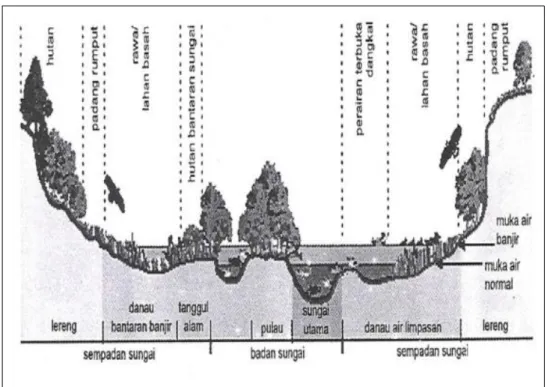 Gambar 2.4 Zona melintang sungai (Maryono,2005) 
