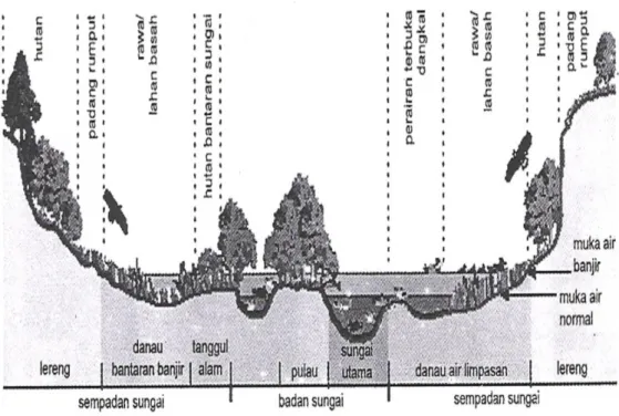Gambar 2.5 Zona melintang sungai (Maryono, 2005) 