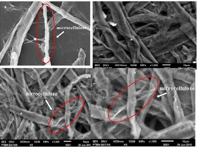 Figure 5. The Micrographs of (a) Microcellulose 5 μm SEM Image, Magnification 1000´; (b) Blank 