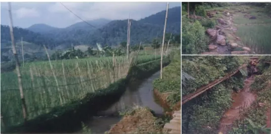 Gambar 3.   Saluran irigasi sederhana atau irigasi dengan bangunan saluran semi permanen  Menurut  Beratha  (1991)  ditinjau  dari  aspek  teknik-teknik  irigasi,  maka  dapat  dibedakan  antara  lain :  1)  Irigasi  teknis,  yaitu  sistem  pengairan  sawa