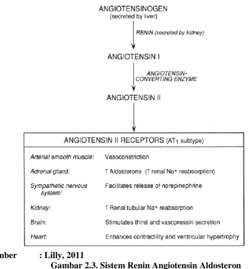 Gambar 2.3. Sistem Renin Angiotensin Aldosteron 