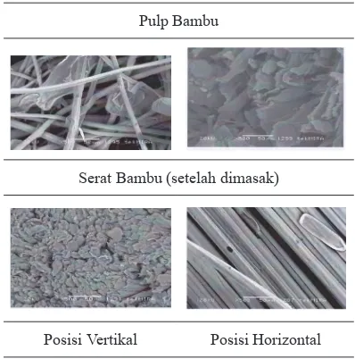 Gambar  8. Struktur Mikro Bambu, Pulp dan Serat Bambu Tali (SEM, 500 X)