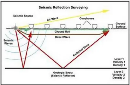 Gambar 7. Konsep gelombang seismik. (Badley, 1985) 
