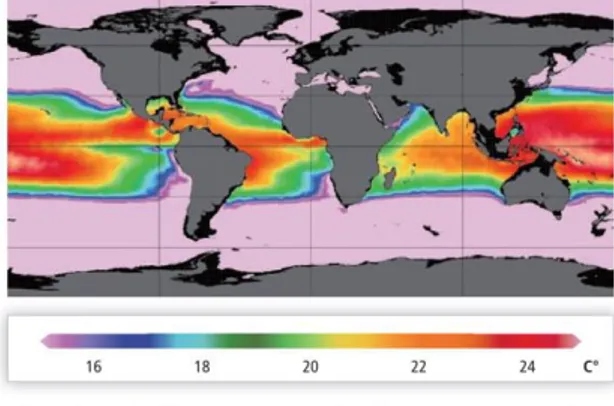 Gambar 1. Temperatur air di permuakaan laut  Indonesia (Lewis, dkk. 2011) 0 o 4 o 8 o 12 o 16 o 20 o 24 oTemperatur [oC] 0 Kedalaman [m] 5001000150020002500 3000 3500 4000 4500 Thermocline