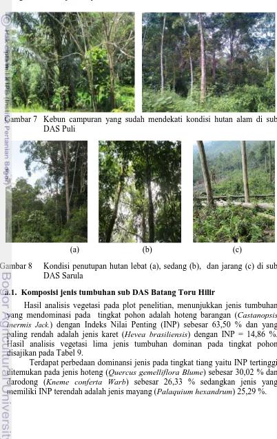 Gambar 8   Kondisi penutupan hutan lebat (a), sedang (b),  dan jarang (c) di sub DAS Sarula 