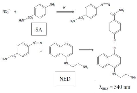 Gambar 2.2 Reaksi kolorimetri antara nitrit, asam sulfanilat dan NED   Sumber : (Sun, et al., 2003) 