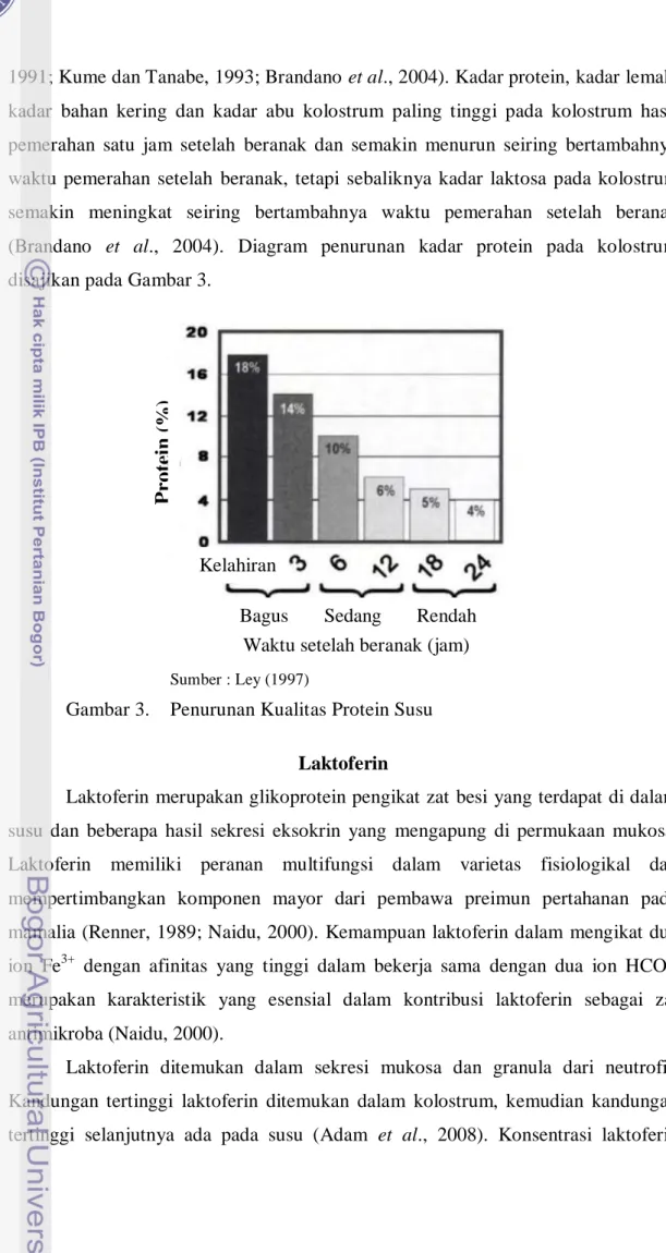 Gambar 3.   Penurunan Kualitas Protein Susu  Laktoferin 