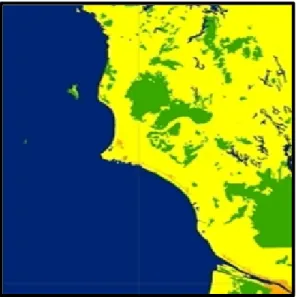 Gambar  4.  Hasil  cropping  peta  tutupan  lahan  dengan  4  keadaan  (state):  vegetasi  basah  (hijau),  vegetasi  kering  (kuning),  dataran  kosong  (putih),  lautan atau perairan (biru) 