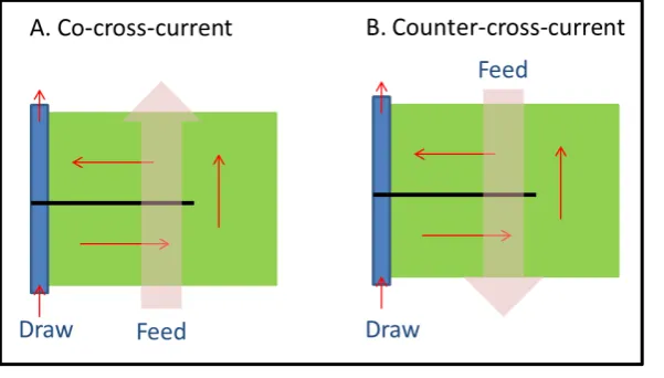Figure 1. Illustration of possible flow orientation in MSW module. In co-cross-current, 