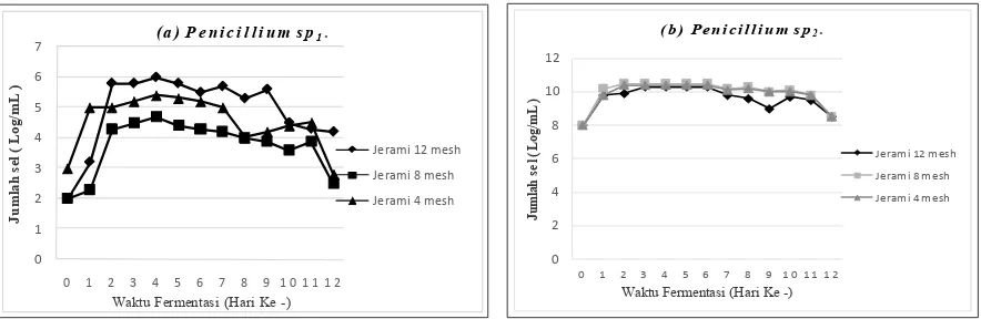 Gambar 1. Profil Pertumbuhan Jamur dalam Proses Biodegradasi Jerami Padi pada Berbagai Ukuran Jerami (a)