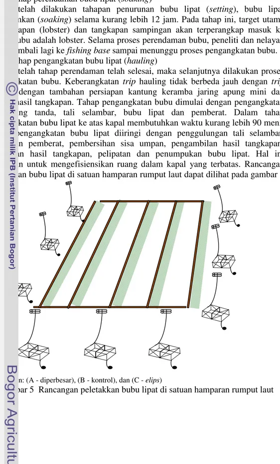 Gambar 5  Rancangan peletakkan bubu lipat di satuan hamparan rumput laut 