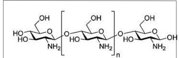 Gambar 5. Struktur kimia kitosan 38