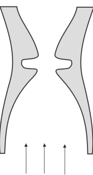 Gambar 11.14 menunjukkan berupa penampang laring. Terletak didalam organ, dua otot  penampang  yang  terdiri  tiga  bagian  yang  melintang  saling  berlawanan  dengan  satu  sama  lain
