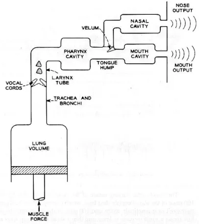 Gambar 2.4 Model Sistem Produksi Ucapan Manusia  (Rabbiner, 93  dalam Arman [1]) 