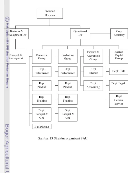 Gambar 13 Struktur organisasi SAU 
