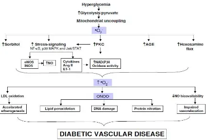 Gambar 2.2. Pembentukan ROS dan Akibatnya pada Diabetes. 
