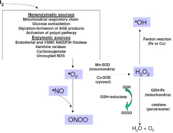 Gambar 2.3. Pembentukan Superoksida dan Peran Antioksidan pada Diabetes.   