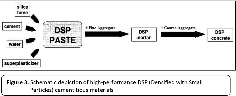 Figure 3. Schematic depiction of high-performance DSP (Densified with Small 