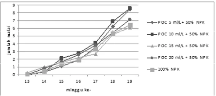 Gambar 11.  Perkembangan Jumlah Malai dari Umur 13  Minggu Sampai dengan Umur 19 Minggu