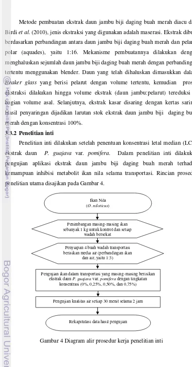 Gambar 4 Diagram alir prosedur kerja penelitian inti 